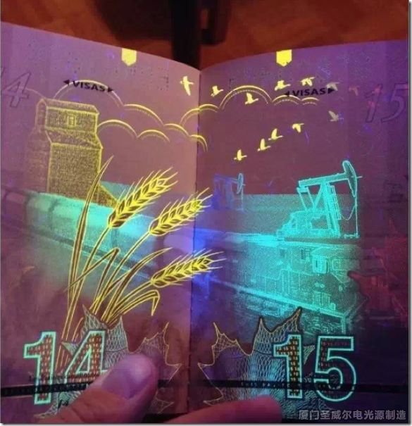 uv燈下的護(hù)照你看過嘛